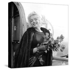 Marilyn with Roses-null-Stretched Canvas