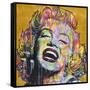 Marilyn-Dean Russo-Framed Stretched Canvas