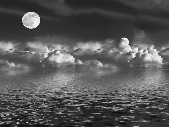 Photographic Print, , large