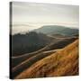 Marin Hills-Lance Kuehne-Stretched Canvas