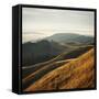 Marin Hills-Lance Kuehne-Framed Stretched Canvas