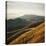 Marin Hills-Lance Kuehne-Stretched Canvas