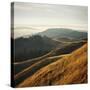Marin Hills-Lance Kuehne-Stretched Canvas
