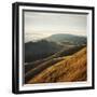 Marin Hills-Lance Kuehne-Framed Photographic Print