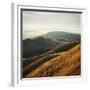 Marin Hills-Lance Kuehne-Framed Photographic Print