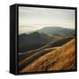 Marin Hills-Lance Kuehne-Framed Stretched Canvas