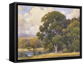 Marin Oaks-Percy Gray-Framed Stretched Canvas