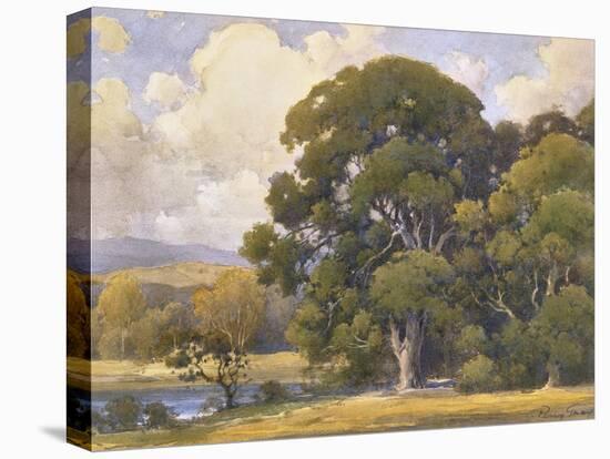 Marin Oaks-Percy Gray-Stretched Canvas