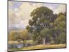 Marin Oaks-Percy Gray-Mounted Art Print