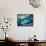 Marina 16-Alex Hook Krioutchkov-Framed Stretched Canvas displayed on a wall