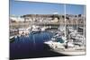 Marina, Albert Harbour, St Helier, Jersey, Channel Islands-Peter Thompson-Mounted Photographic Print