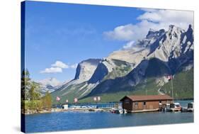 Marina and Boat House-Neale Clark-Stretched Canvas