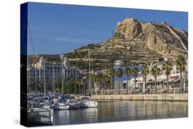 Marina and Castle, Alicante, Spain, Mediterranean, Europe-Rolf Richardson-Stretched Canvas