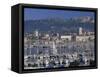 Marina and City Centre, Toulon, Var, Cote d'Azur, Provence, France, Mediterranean-Gavin Hellier-Framed Stretched Canvas