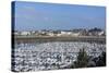 Marina and Main Town, St. Malo, Brittany, France, Europe-Peter Groenendijk-Stretched Canvas