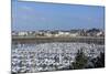 Marina and Main Town, St. Malo, Brittany, France, Europe-Peter Groenendijk-Mounted Photographic Print