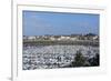 Marina and Main Town, St. Malo, Brittany, France, Europe-Peter Groenendijk-Framed Photographic Print