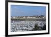 Marina and Main Town, St. Malo, Brittany, France, Europe-Peter Groenendijk-Framed Photographic Print