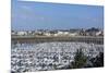 Marina and Main Town, St. Malo, Brittany, France, Europe-Peter Groenendijk-Mounted Photographic Print