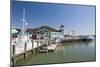 Marina and Waterfront of Old Town, Alexandria, Virginia, United States of America, North America-John Woodworth-Mounted Photographic Print