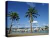 Marina at Port Douglas, Queensland, Australia, Pacific-Robert Francis-Stretched Canvas