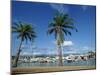 Marina at Port Douglas, Queensland, Australia, Pacific-Robert Francis-Mounted Photographic Print