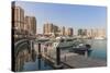 Marina at the Pearl Qatar, Doha, Qatar, Middle East-Jane Sweeney-Stretched Canvas