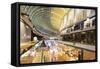 Marina Bay Sands Mall, Singapore, Southeast Asia, Asia-Christian Kober-Framed Stretched Canvas