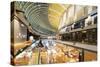 Marina Bay Sands Mall, Singapore, Southeast Asia, Asia-Christian Kober-Stretched Canvas