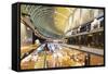 Marina Bay Sands Mall, Singapore, Southeast Asia, Asia-Christian Kober-Framed Stretched Canvas