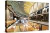 Marina Bay Sands Mall, Singapore, Southeast Asia, Asia-Christian Kober-Stretched Canvas