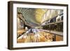 Marina Bay Sands Mall, Singapore, Southeast Asia, Asia-Christian Kober-Framed Photographic Print