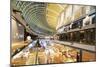 Marina Bay Sands Mall, Singapore, Southeast Asia, Asia-Christian Kober-Mounted Photographic Print