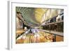 Marina Bay Sands Mall, Singapore, Southeast Asia, Asia-Christian Kober-Framed Photographic Print