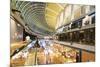 Marina Bay Sands Mall, Singapore, Southeast Asia, Asia-Christian Kober-Mounted Photographic Print