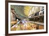 Marina Bay Sands Mall, Singapore, Southeast Asia, Asia-Christian Kober-Framed Photographic Print