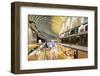 Marina Bay Sands Mall, Singapore, Southeast Asia, Asia-Christian Kober-Framed Photographic Print