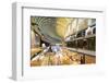 Marina Bay Sands Mall, Singapore, Southeast Asia, Asia-Christian Kober-Framed Photographic Print