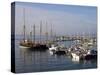 Marina, Brixham, Devon, England, United Kingdom, Europe-Jeremy Lightfoot-Stretched Canvas