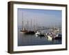 Marina, Brixham, Devon, England, United Kingdom, Europe-Jeremy Lightfoot-Framed Photographic Print