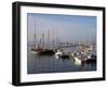 Marina, Brixham, Devon, England, United Kingdom, Europe-Jeremy Lightfoot-Framed Photographic Print