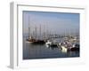 Marina, Brixham, Devon, England, United Kingdom, Europe-Jeremy Lightfoot-Framed Photographic Print