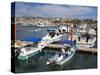 Marina, Cabo San Lucas, Baja California, Mexico, North America-Richard Cummins-Stretched Canvas