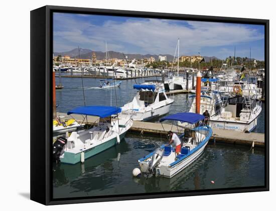 Marina, Cabo San Lucas, Baja California, Mexico, North America-Richard Cummins-Framed Stretched Canvas