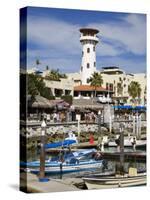 Marina, Cabo San Lucas, Baja California, Mexico, North America-Richard Cummins-Stretched Canvas