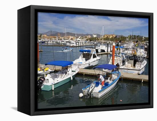 Marina, Cabo San Lucas, Baja California, Mexico, North America-Richard Cummins-Framed Stretched Canvas