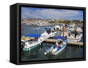 Marina, Cabo San Lucas, Baja California, Mexico, North America-Richard Cummins-Framed Stretched Canvas