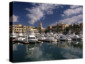 Marina, Cabo San Lucas, Baja California, Mexico-Walter Bibikow-Stretched Canvas