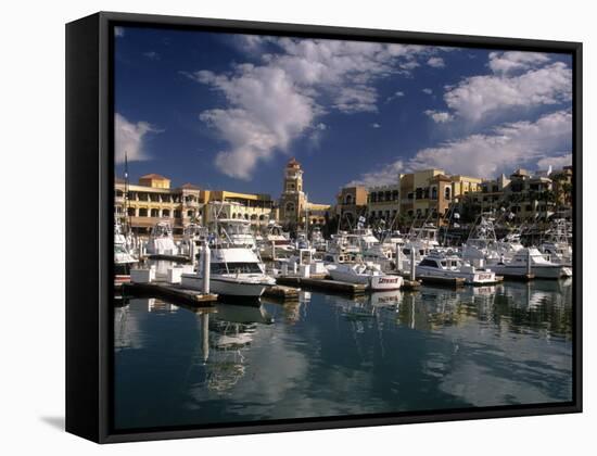 Marina, Cabo San Lucas, Baja California, Mexico-Walter Bibikow-Framed Stretched Canvas