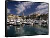 Marina, Cabo San Lucas, Baja California, Mexico-Walter Bibikow-Framed Stretched Canvas